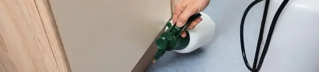 Bed bug exterminator treating baseboards and cracks with targeted spray in Baton Rouge, LA