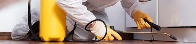 Roach exterminator treating cracks and crevices along kitchen baseboards in Baton Rouge, LA
