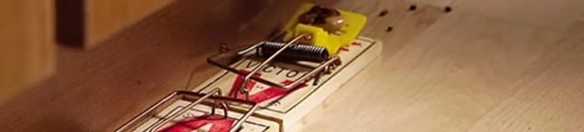 Rodent trap set indoors for rodent control and prevention in Baton Rouge, LA