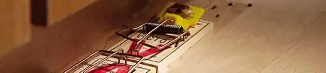 Rodent trap set indoors for rodent control and prevention in Baton Rouge, LA